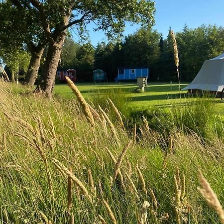 Pipowagens Bij Pannenkoekenrestaurant & Camping De Koppenjan 'Een Uniek Verblijf Met Kinderspeelboerderij' Jubbega-Schurega Exterior photo