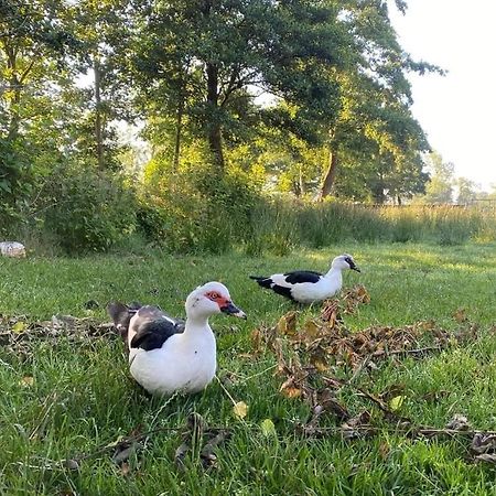 Pipowagens Bij Pannenkoekenrestaurant & Camping De Koppenjan 'Een Uniek Verblijf Met Kinderspeelboerderij' Jubbega-Schurega Exterior photo