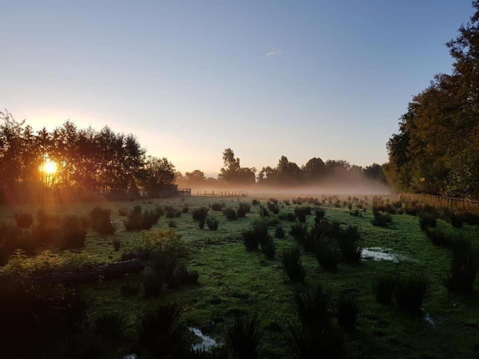 Pipowagens Bij Pannenkoekenrestaurant & Camping De Koppenjan 'Een Uniek Verblijf Met Kinderspeelboerderij' Jubbega-Schurega Exterior photo
