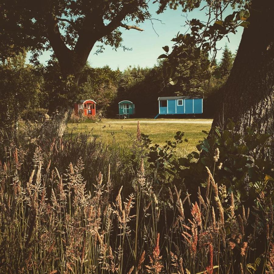 Pipowagens Bij Pannenkoekenrestaurant & Camping De Koppenjan 'Een Uniek Verblijf Met Kinderspeelboerderij' Jubbega-Schurega Exterior photo