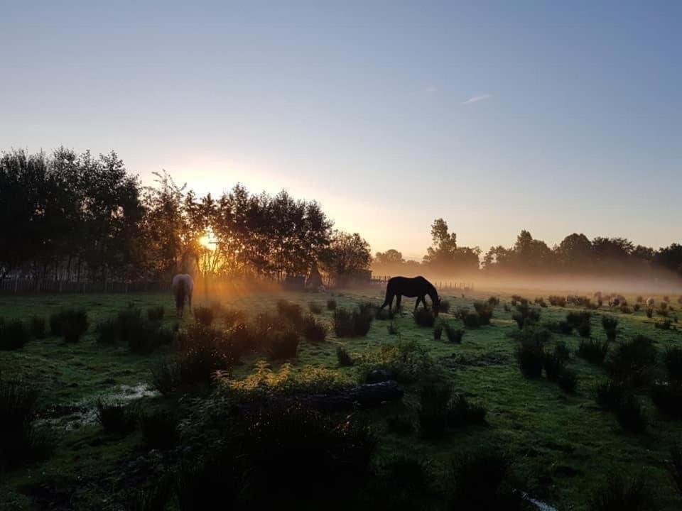 Pipowagens Bij Pannenkoekenrestaurant & Camping De Koppenjan 'Een Uniek Verblijf Met Kinderspeelboerderij' Jubbega-Schurega Exterior photo