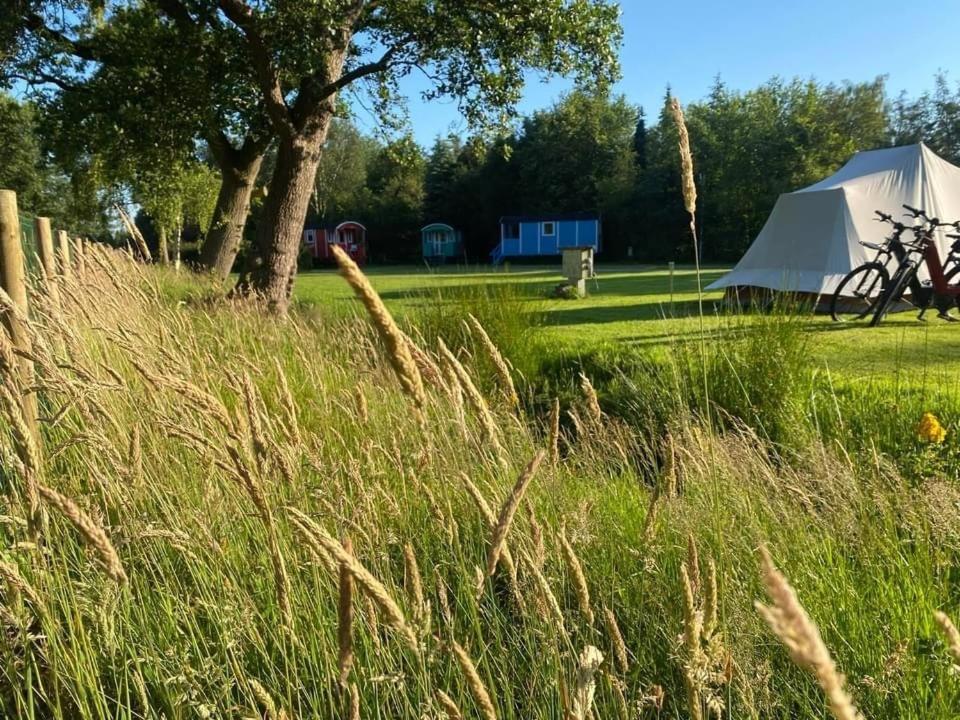 Pipowagens Bij Pannenkoekenrestaurant & Camping De Koppenjan 'Een Uniek Verblijf Met Kinderspeelboerderij' Jubbega-Schurega Exterior photo